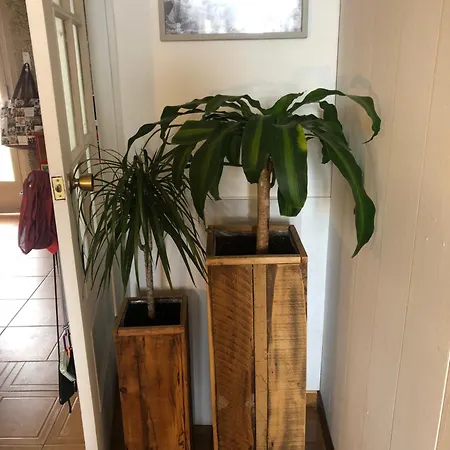Nankurunaisa Homestay *