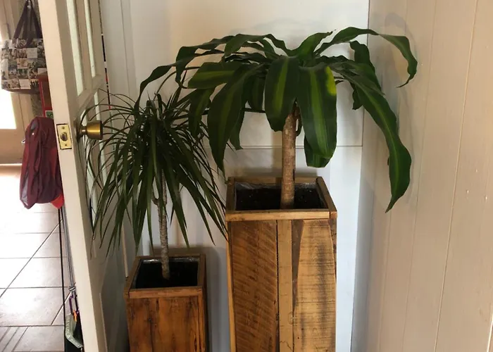 Nankurunaisa Quarto em Acomodações Particulares *