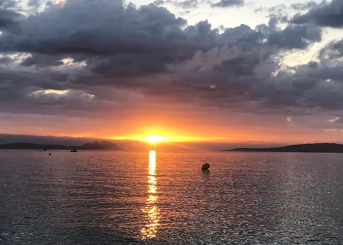 Nankurunaisa ויגו